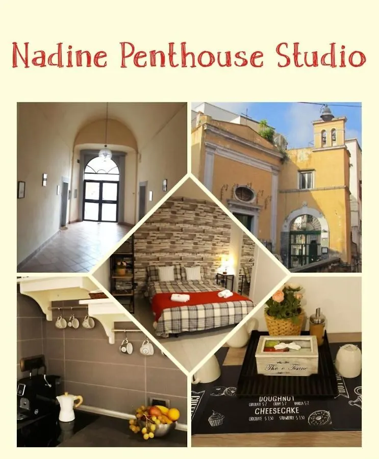Nadine Penthouse Studio Apartment Naples