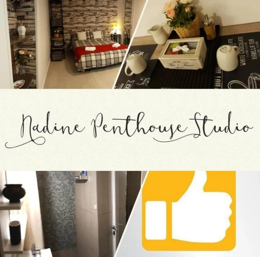 Nadine Penthouse Studio Apartment Naples 0*,